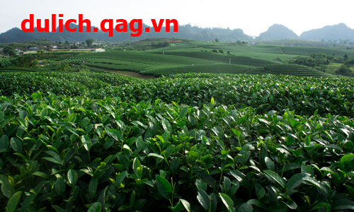 Các điểm đến du lịch hấp dẫn Miền Bắc dịp lễ 2/9